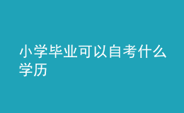 小學(xué)畢業(yè)可以自考什么學(xué)歷