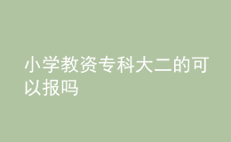 小學(xué)教資?？拼蠖目梢詧髥? style=