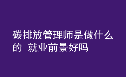 碳排放管理師是做什么的 就業(yè)前景好嗎