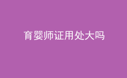 育嬰師證用處大嗎