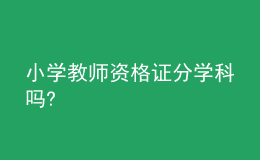 小學(xué)教師資格證分學(xué)科嗎?