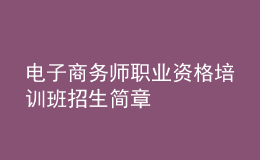 電子商務(wù)師職業(yè)資格培訓班招生簡章