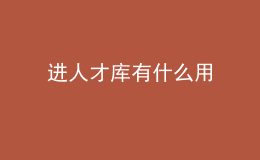進(jìn)人才庫有什么用