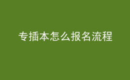 專插本怎么報(bào)名流程