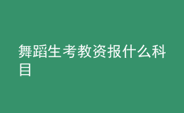 舞蹈生考教資報什么科目
