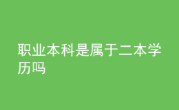 職業(yè)本科是屬于二本學歷嗎