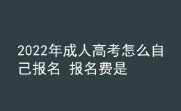 2022年成人高考怎么自己報名 報名費是多少