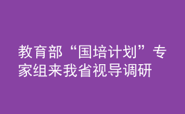 教育部“國培計(jì)劃”專家組來我省視導(dǎo)調(diào)研