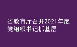 省教育廳召開2021年度黨組織書記抓基層黨建工作述職評議會議