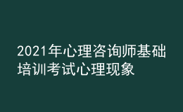 2021年心理咨詢師基礎(chǔ)培訓(xùn)考試心理現(xiàn)象的學(xué)習(xí)經(jīng)驗(yàn)
