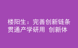 樓陽生：完善創(chuàng)新鏈條貫通產(chǎn)學(xué)研用 創(chuàng)新體制機(jī)制激發(fā)創(chuàng)造活力