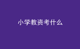 小學(xué)教資考什么