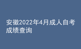 安徽2022年4月成人自考成績查詢