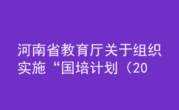 河南省教育廳關(guān)于組織實(shí)施“國培計(jì)劃（2020）” ——河南省中小學(xué)幼兒園教師培訓(xùn)項(xiàng)目的通知