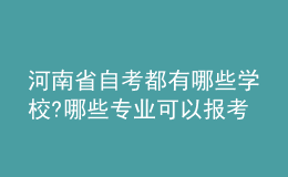 河南省自考都有哪些學(xué)校?哪些專業(yè)可以報(bào)考?