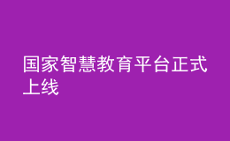 國家智慧教育平臺(tái)正式上線