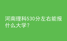 河南理科530分左右能報什么大學(xué)？