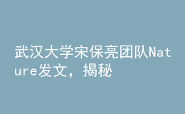 武漢大學(xué)宋保亮團(tuán)隊Nature發(fā)文，揭秘降脂新策略！