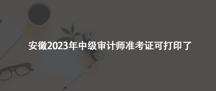 安徽2023年中級審計(jì)師準(zhǔn)考證可打印了