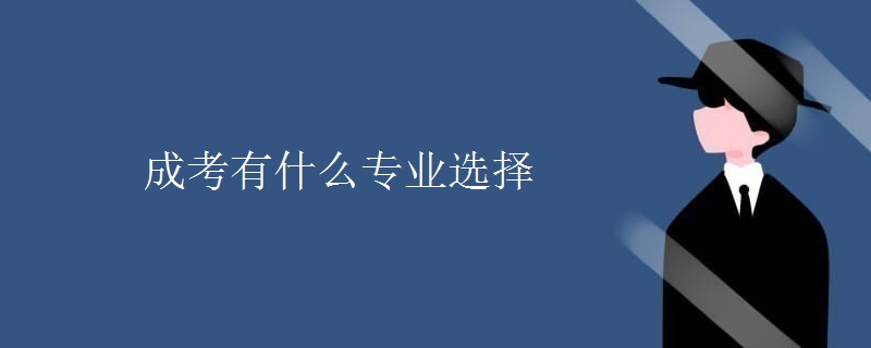 成考有什么專業(yè)選擇