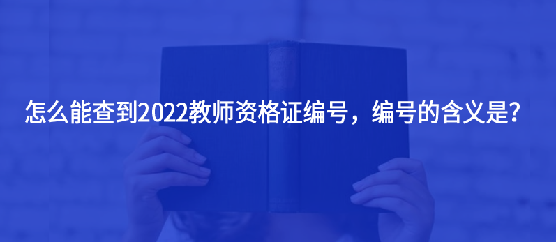怎么能查到2022教師資格證編號(hào)，編號(hào)的含義是？