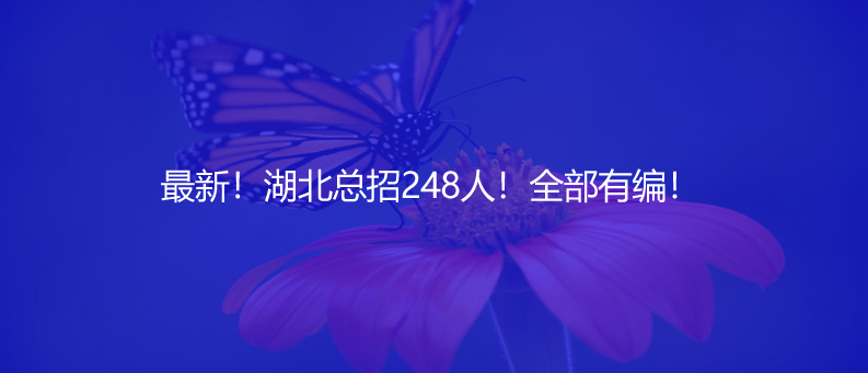 最新！湖北總招248人！全部有編！